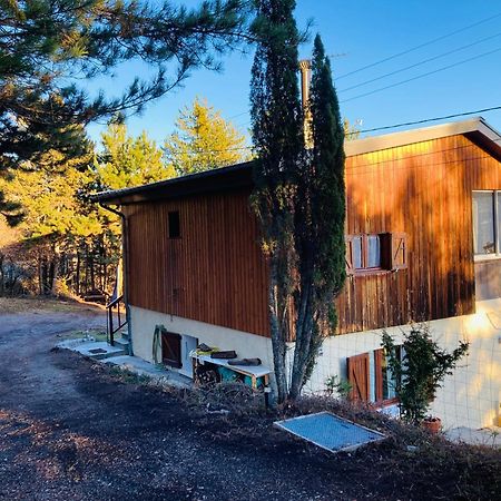 Chalet Forest Saint-Apollinaire  Zewnętrze zdjęcie